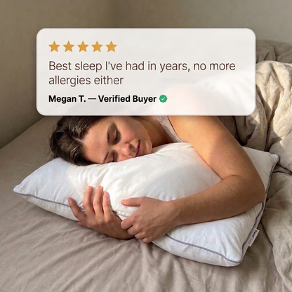 Hotel Pillow